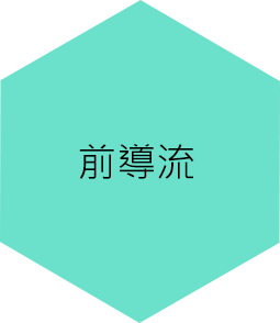 前導流 前導流